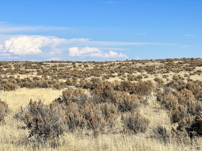 Nevada Recreational Hunting Mountain Desert Land For Sale - image 13