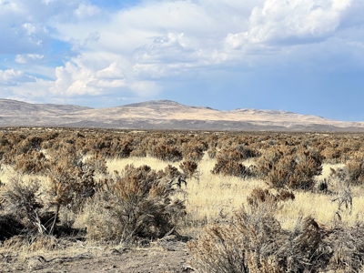 Nevada Recreational Hunting Mountain Desert Land For Sale - image 20