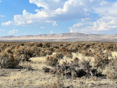 Nevada Recreational Hunting Mountain Desert Land For Sale - image 19