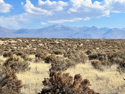 Nevada Recreational Hunting Mountain Desert Land For Sale - image 16