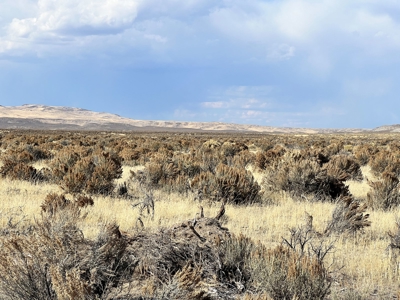 Nevada Recreational Hunting Mountain Desert Land For Sale - image 21