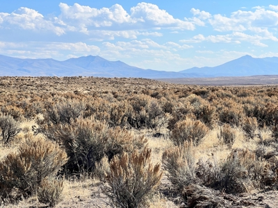 Nevada Recreational Hunting Mountain Desert Land For Sale - image 9