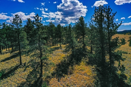 Secluded Colorado Mountain Property with Amazing Views - image 20