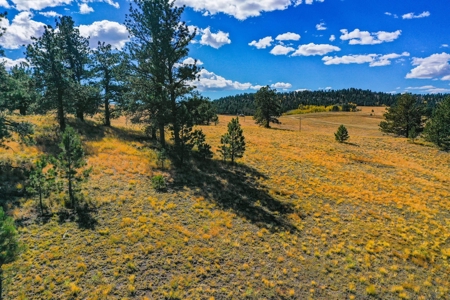 Secluded Colorado Mountain Property with Amazing Views - image 43