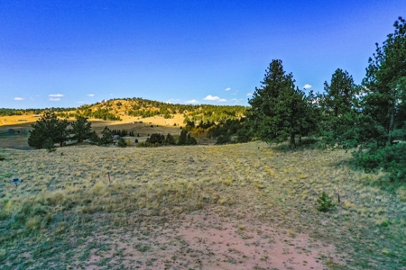 Secluded Colorado Mountain Property with Amazing Views - image 24