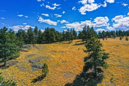 Secluded Colorado Mountain Property with Amazing Views - image 11