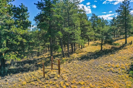 Secluded Colorado Mountain Property with Amazing Views - image 2