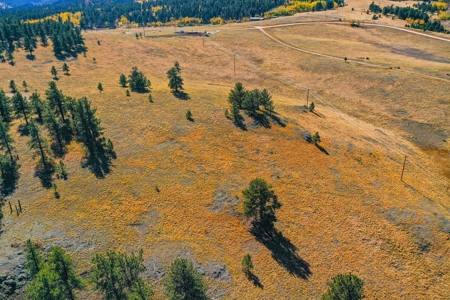 Secluded Colorado Mountain Property with Amazing Views - image 6
