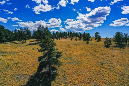Secluded Colorado Mountain Property with Amazing Views - image 12