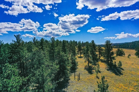 Secluded Colorado Mountain Property with Amazing Views - image 10