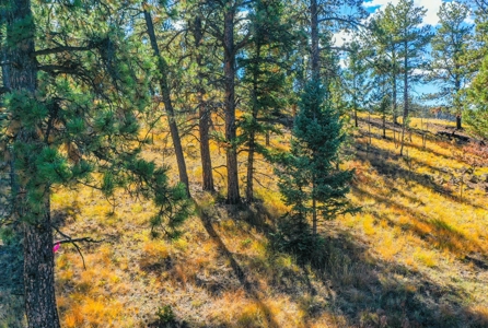 Secluded Colorado Mountain Property with Amazing Views - image 8