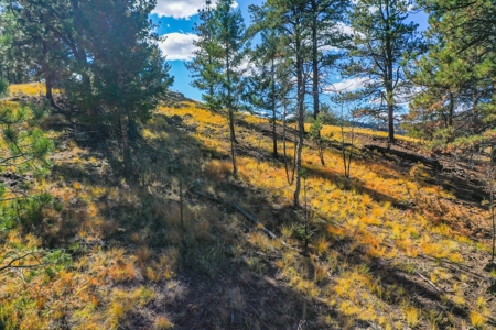 Secluded Colorado Mountain Property with Amazing Views - image 9