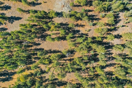 Secluded Colorado Mountain Property with Amazing Views - image 40