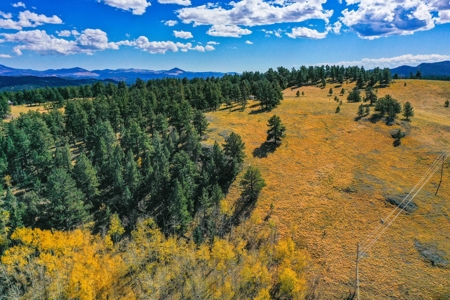 Secluded Colorado Mountain Property with Amazing Views - image 13