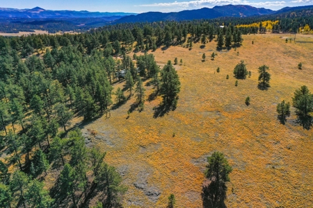 Secluded Colorado Mountain Property with Amazing Views - image 5