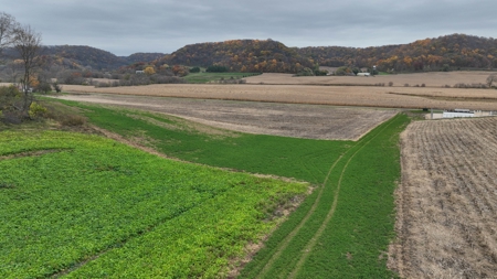 Hunting Land for Sale in Richland County, Wisconsin - image 25