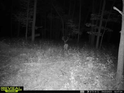 Hunting Land for Sale in Richland County, Wisconsin - image 18