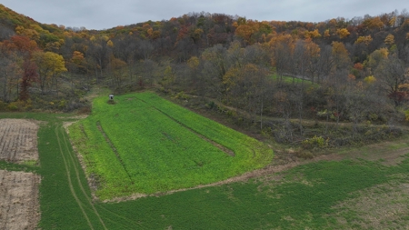 Hunting Land for Sale in Richland County, Wisconsin - image 38