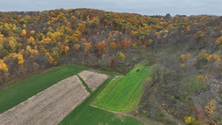 Hunting Land for Sale in Richland County, Wisconsin - image 32