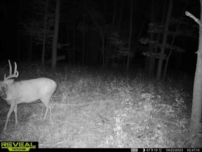 Hunting Land for Sale in Richland County, Wisconsin - image 2