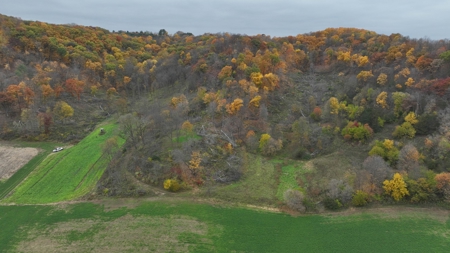 Hunting Land for Sale in Richland County, Wisconsin - image 33