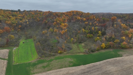 Hunting Land for Sale in Richland County, Wisconsin - image 28