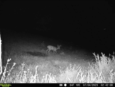 Hunting Land for Sale in Richland County, Wisconsin - image 19