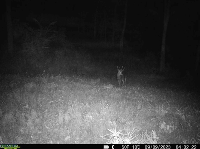Hunting Land for Sale in Richland County, Wisconsin - image 17