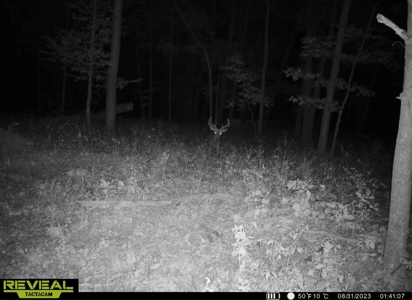 Hunting Land for Sale in Richland County, Wisconsin - image 16