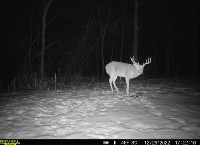 Hunting Land for Sale in Richland County, Wisconsin - image 4