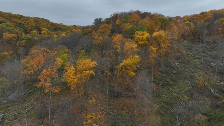 Hunting Land for Sale in Richland County, Wisconsin - image 36