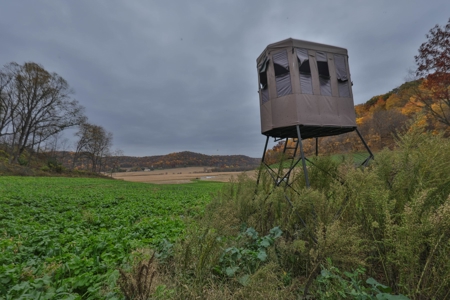 Hunting Land for Sale in Richland County, Wisconsin - image 8