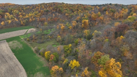 Hunting Land for Sale in Richland County, Wisconsin - image 34