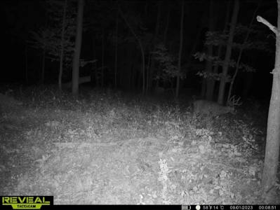 Hunting Land for Sale in Richland County, Wisconsin - image 14