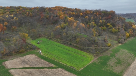 Hunting Land for Sale in Richland County, Wisconsin - image 26