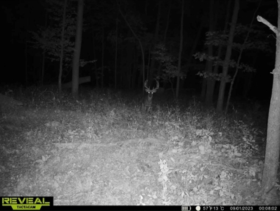 Hunting Land for Sale in Richland County, Wisconsin - image 15