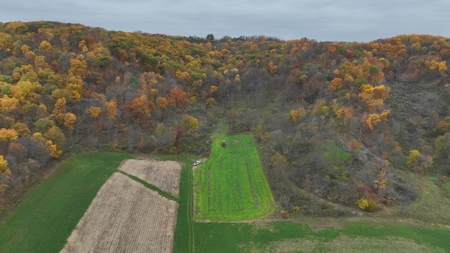 Hunting Land for Sale in Richland County, Wisconsin - image 27