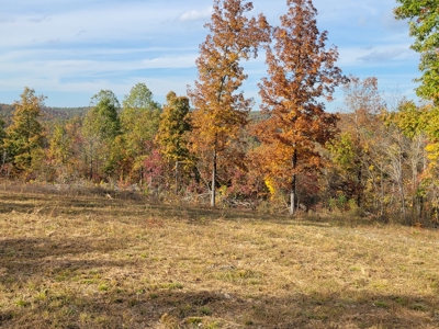 Hunter's Paradise with views - image 1