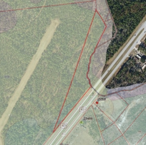 Land for sale on US HWY 17 with 800 feet of road frontage - image 2