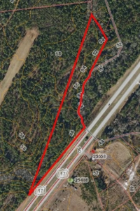 Land for sale on US HWY 17 with 800 feet of road frontage - image 6