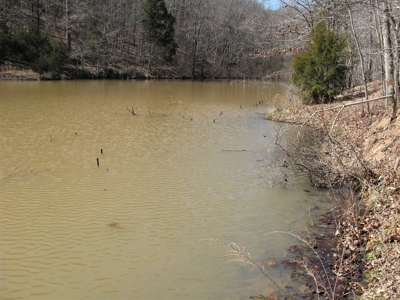Pulaski County, Mo Wooded Vacant Hunting Recreational Land - image 4