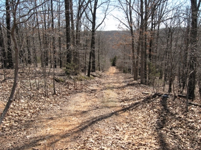 Pulaski County, Mo Wooded Vacant Hunting Recreational Land - image 2