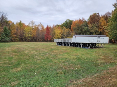3/4 Bedroom, 2 Bath Country Home w/Outbuildings and Pool - image 4