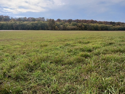 Farmland for Sale in Pulaski County, Missouri - image 3