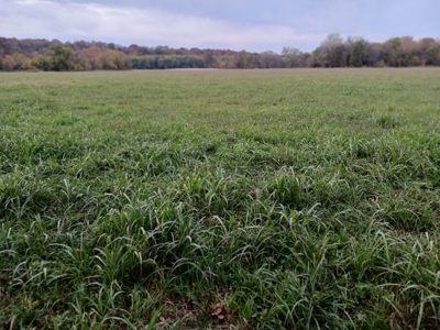 Farmland for Sale in Pulaski County, Missouri - image 6