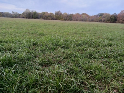 Farmland for Sale in Pulaski County, Missouri - image 7