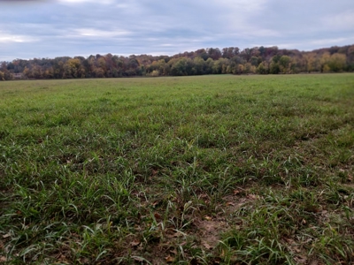 Farmland for Sale in Pulaski County, Missouri - image 5