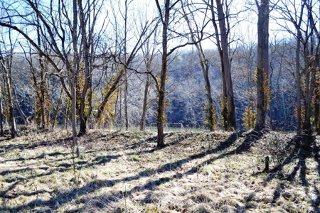 Riverfront Property For Sale In Wythe County VA - image 9