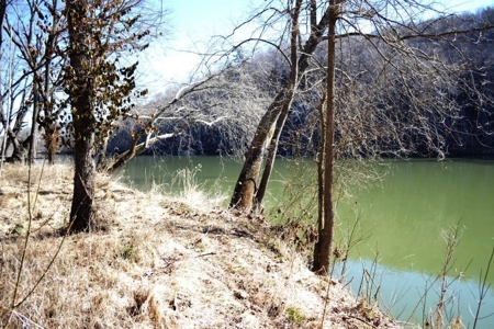 Riverfront Property For Sale In Wythe County VA - image 4