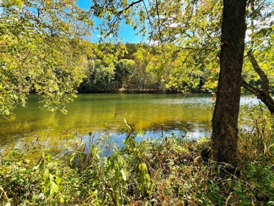 Riverfront Property For Sale In Wythe County VA - image 17